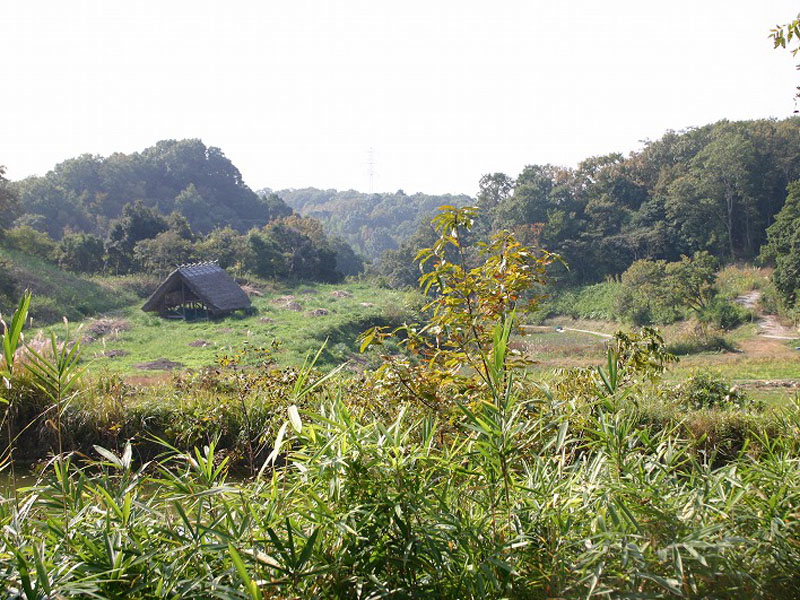 �����q�I�c