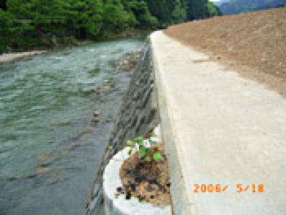 植物を植えることが出来ます。