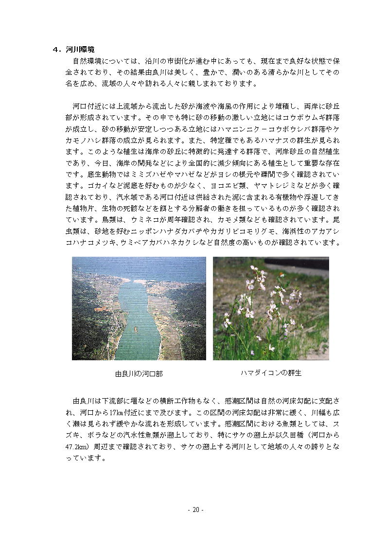 資料サムネイル画像