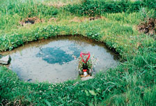 ２５．田んぼの中に湧く「馬しょうずの水」（宮崎村）