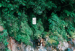 ７．タンタン清水（永平寺町）