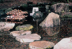 １１．朝倉氏ゆかりの「岡の清水」 （福井市）