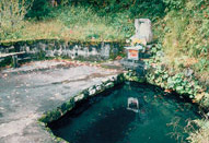 １２．朝倉遺跡近くの「瓜割清水」（福井市）