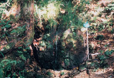 １３．亭の水（福井市）