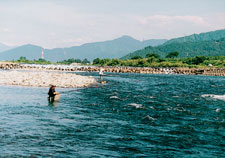 九頭竜川でのアユつり