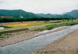 日野川南条地区の階段護岸
