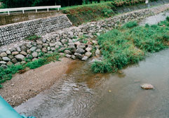 巨石水制による流れの変化および水生植物の繁茂状況（魚見川）