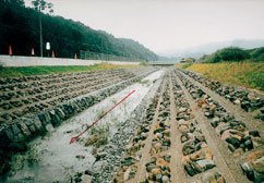 置き石による流れの変化の創出と多孔質部で植生回復（観音川）