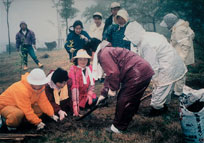 浄法寺山水源涵養林でのドングリ苗木記念植樹