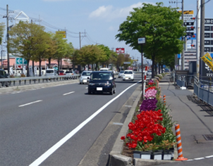 花壇の管理（植栽作業）