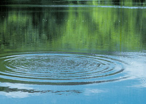 清流ルネッサンス21