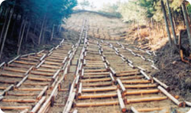 草本類を覆った施工直後の写真