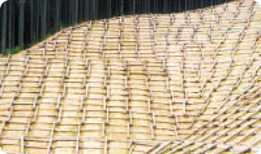 施工後9年経過した様子