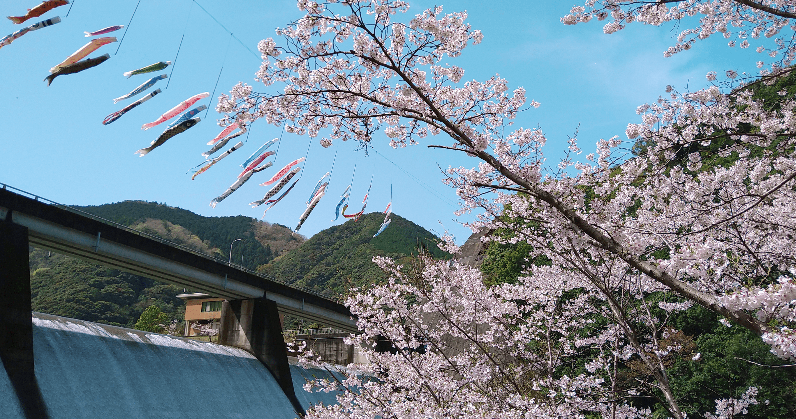 島ノ瀬ダム（みなべ町）