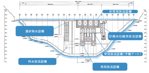 ���_���̒f�ʐ}