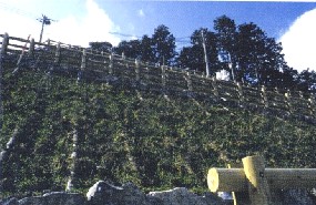 �Ԕ��ނ̗L�����p�C���[�W