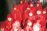 �J���w��