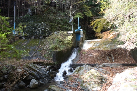 �L���L�J�搅����̎ʐ^