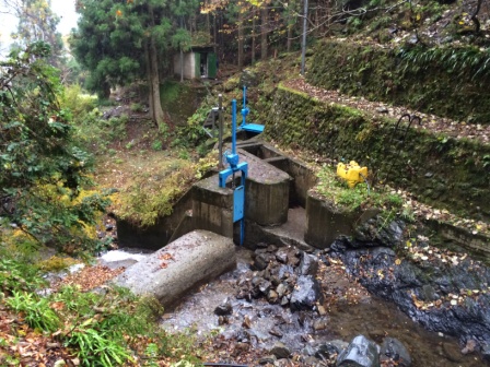 �L���L�J�搅����̎ʐ^