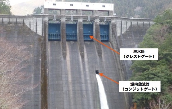 ���J�_���̃Q�[�g�ʐ^