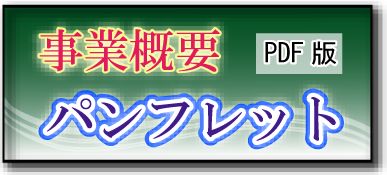 ���ƊT�v�p���t���b�g(PDF��)