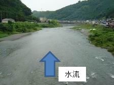 ���w�t�߂̕������̎ʐ^(�������ʂ��B�e)