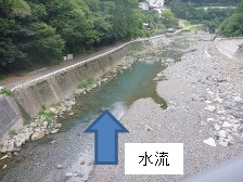 �ғ����ʊϑ����t�߂̕������̎ʐ^(�������ʂ��B�e)