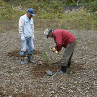 ��Ƃ̗l�q�ʐ^�i�S�j