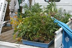 ��Ƃ̗l�q�ʐ^�i�T�j