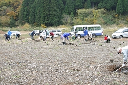 ��Ƃ̗l�q�ʐ^�i�V�j