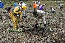 ��Ƃ̗l�q�ʐ^�i�W�j