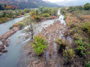フラッシュ時の旧河道末端部