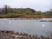 フラッシュ放流中