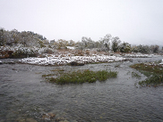 フラッシュ放流後