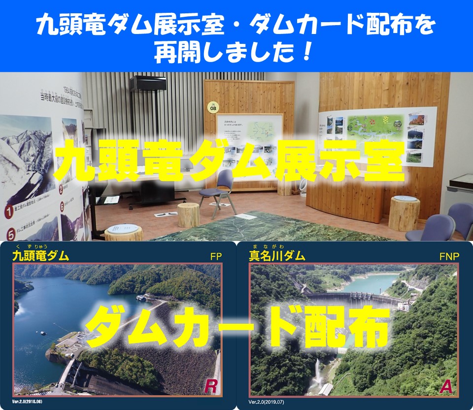 �_���J�[�h�z�z��