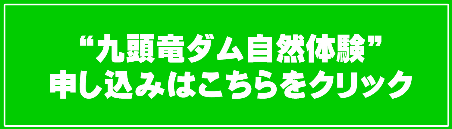 九頭竜ダム自然体験 申し込み
