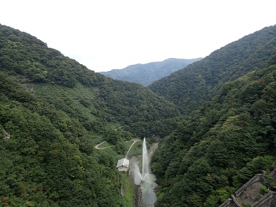 ��� ��������