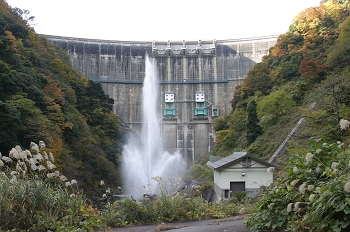 �i�P�j�_��������