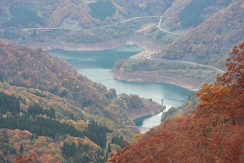 �u���b�J�J�v�㗬����_���΂����]