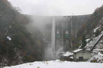 �i�P�j�_��������