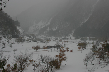 �i�R�j�^�ߕP���N���s��