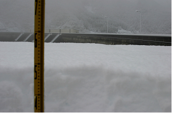 �^����_���n�_�łT�Tcm(11/20 9��)�̐ϐ�ł�