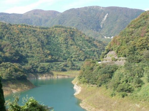 �����r������