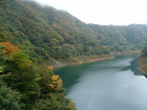 �����r������