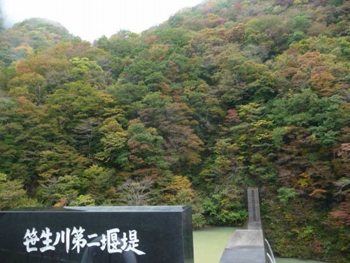 �������񉁒�