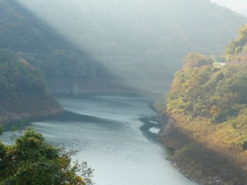 �����r������