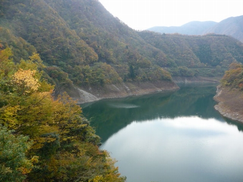 �����r������