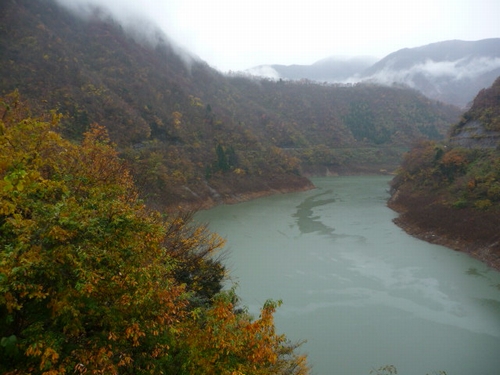 �����r������