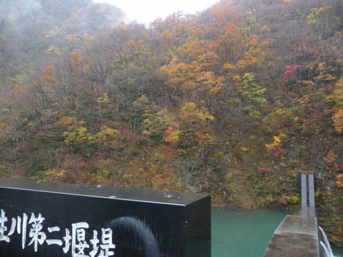 �������񉁒�