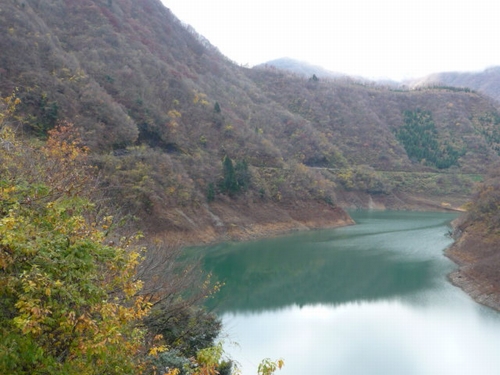 �����r������